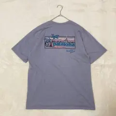 【貴重】pataloha パタロハ 半袖 Tシャツ パタゴニア ハワイ限定 M