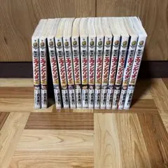 初版　新世紀エヴァンゲリオン 1-14巻セット