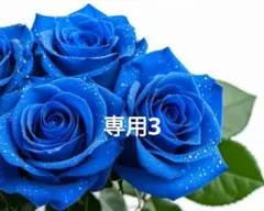 専用3