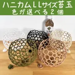 ハニカム苔玉 選べる1個 3Lサイズ 白黒苔砂陶 多肉 ビカクシダ 蘭