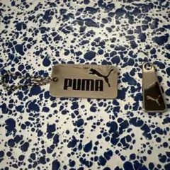 Item thumbnail for item 4ab3927c-ea3f-49e6-bcb0-e50b91697e1e