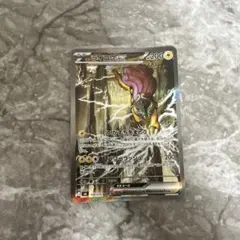【美品】ライコウSAR