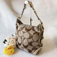 COACH ショルダーバッグ キャンバス シグネチャー 10620 y2k