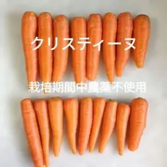 アウトレット★栽培期間中農薬不使用★人参 クリスティーヌのサムネイル