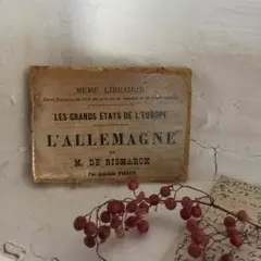 ベスピーノ様専用お取り置きページ