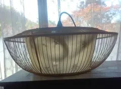 2026年最新】昭和レトロ蛍光灯の人気アイテム - メルカリ