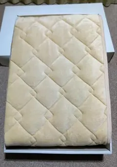 Item thumbnail for item 836914fb-8412-419f-9897-a2885d30a3d3