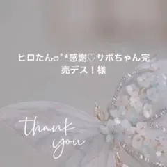 デザインレース　梯子　レース 42m以上