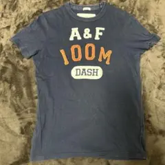 アバクロ メンズTシャツ ネイビー アメカジ