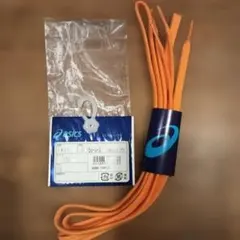 Item thumbnail for item 8dcdafff-0cab-4680-afc9-27a077d0ca53