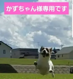 ♡かずちゃん様専用です♡