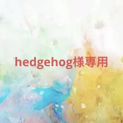 hedgehog様確認専用ページ【取り置き中　5月31日迄】