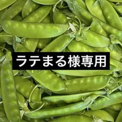 ラテまる様専用