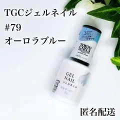 春夏限定カラー TGCジェルネイル【オーロラブルー】匿名配送