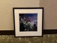 Item thumbnail for item 8d5de8d8-b36b-4190-8498-63a4371de9fa