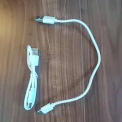 充電ケーブル（2本）