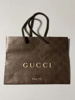GUCCI ショップ袋 ショッパー ブラウン　23×17センチのサムネイル