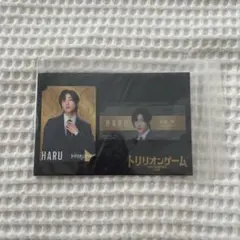 Item thumbnail for item 1c528aad-30dd-409b-966a-5f29b56a5cff