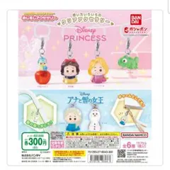 ディズニープリンセス めじるしアクセサリー