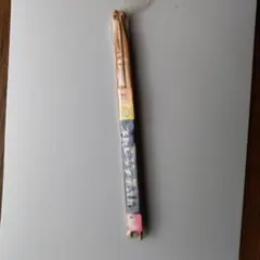 Item thumbnail for item 7fce3930-69f8-4936-bb31-bf9ea65f073f