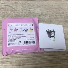 サンリオハウス　シークレットオーロラミニチャーム クロミ