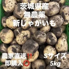 茨城県産 無農薬 新じゃがいも男爵5kg Sサイズ - メルカリ