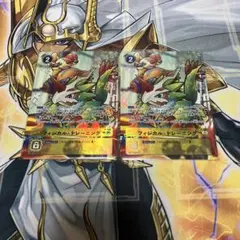 フィジカル・トレーニング パラレル 2枚