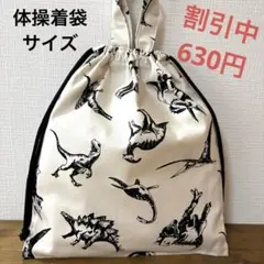 1175【おまとめ割不可】恐竜柄体操着袋