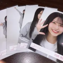 向井純葉 櫻坂46 ジャージ 生写真 4種コンプ