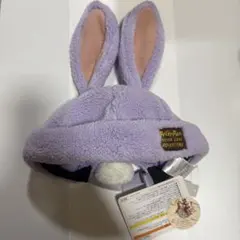 ピーター・パン　ロストキッズ ニブス ファンキャップ ディズニー