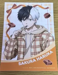 WIND BREAKER アニメイト 特典 ブロマイド バレンタイン 桜遥