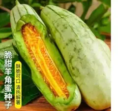 moon様 リクエスト 5点 まとめ商品