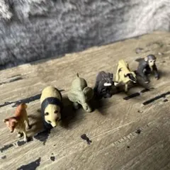 動物　フィギュア　テラリウム ミニチュアアニマル6点セットのサムネイル