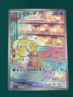パピモッチ　AR