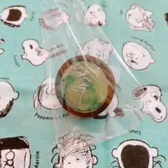 スタライ7th リングライト 蓮巳敬人