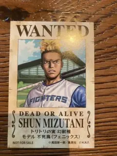 水谷瞬 日本ハムファイターズ　ONE PIECE 手配書ステッカー