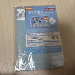 なにわ男子 ローソン Pontaカード＆クリアポーチ