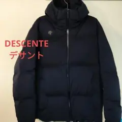 水沢ダウン ダウンジャケット
