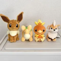 【即日発送！圧縮なし】 ドンメル アチャモ ガーディ イーブイ ぬいぐるみ 新品