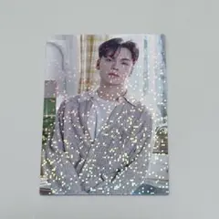 SEVENTEENトレカ Home バーノン