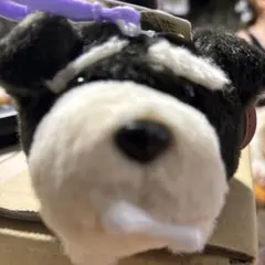 Item thumbnail for item 99052138-9d7d-4a99-8e68-314c7d9b8c2f