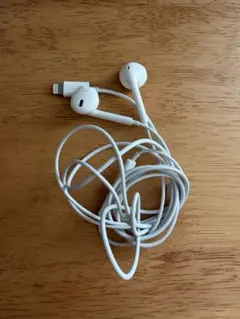 Apple 純正 Iphone 有線イヤホン EarPods