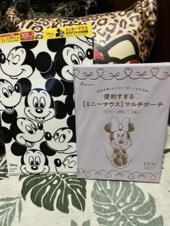 ゼクシィ付録 ミニーマウス マルチポーチ＆ミッキーマウス クリアファイル