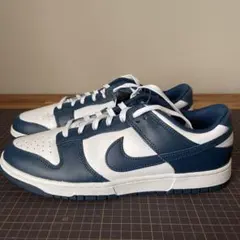 NIKEナイキダンクローレトロUS10新品未使用品