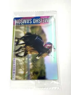 メイショウサムソン　カード　サイン箔押し