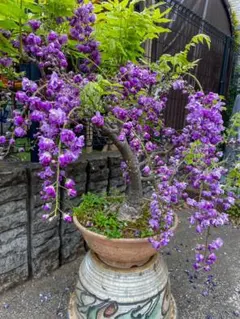 じゅん様 リクエスト 3点 まとめ商品