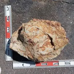 ロックガーデン用石 1000キロ(1トン)配達 - メルカリ