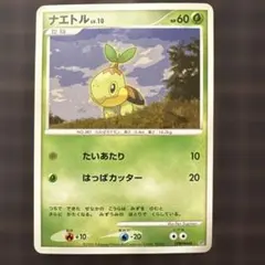 ナエトル DPBP#448 たいあたり
