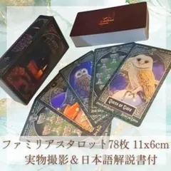 Item thumbnail for item baf2d5f6-d3bb-412f-af2e-ee4e004940b2