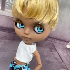 アイシードール♪男の子♪金髪スーパーブラック君♪ネオブライスサイズ♪No.231